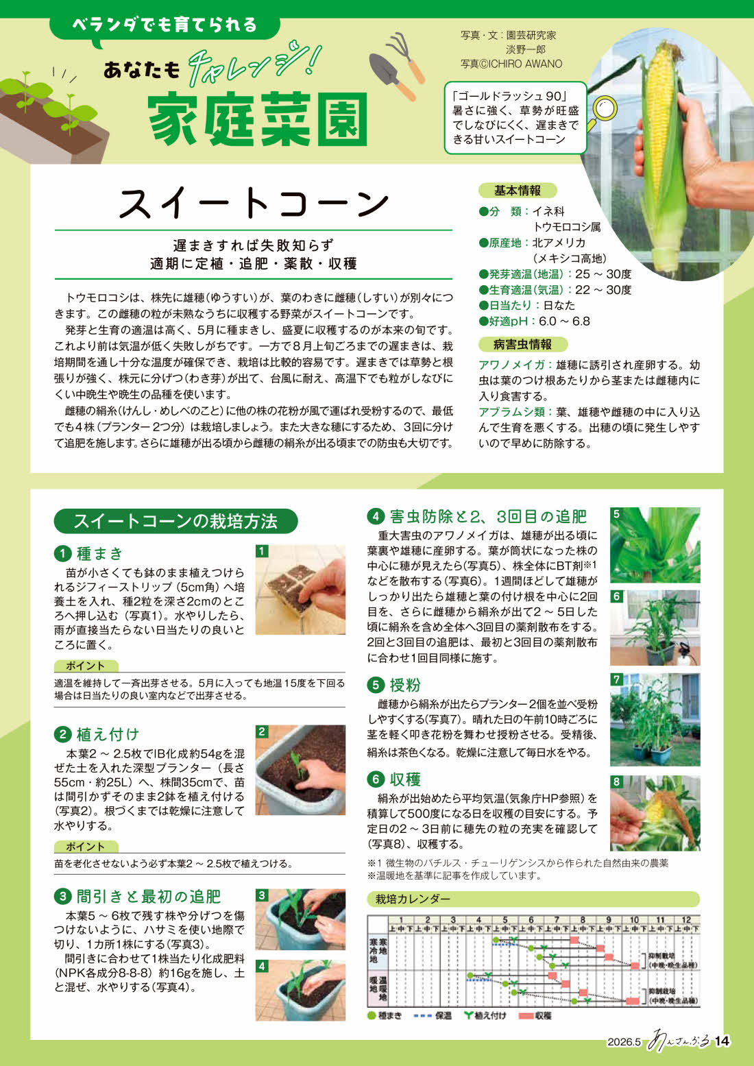家庭菜園 ｜ 伊勢農業協同組合（JA伊勢)