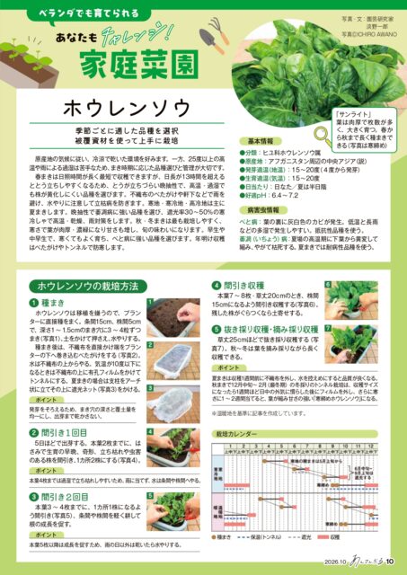 https://www.jaise.jp/main/wp-content/uploads/2026/09/koho2610-kateisaien.jpg